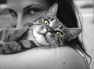 pet cat love
