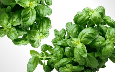 4 ways to grow your own herbs