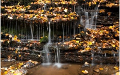 Fall is Here, Get Ready for It