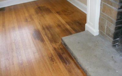 Cleaning Pet Stains on Laminate Floors