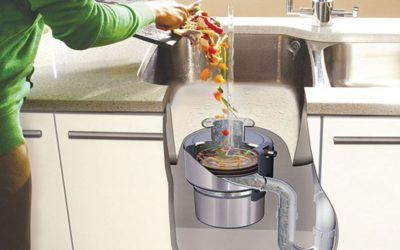 7 Ways to Clean a Smelly Garbage Disposal