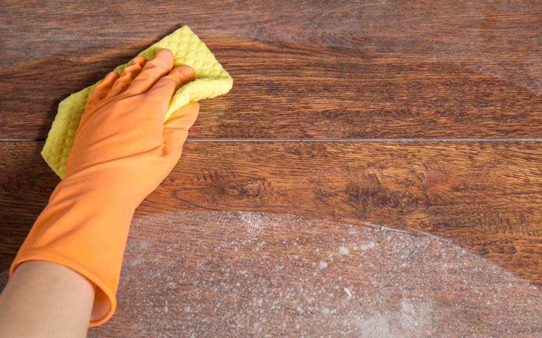 What’s the Best Type of Duster?