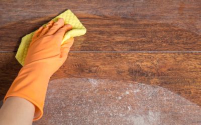 What’s the Best Type of Duster?