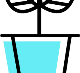 8 Fun Ways to Keep Your Home Smelling Clean & Fresh