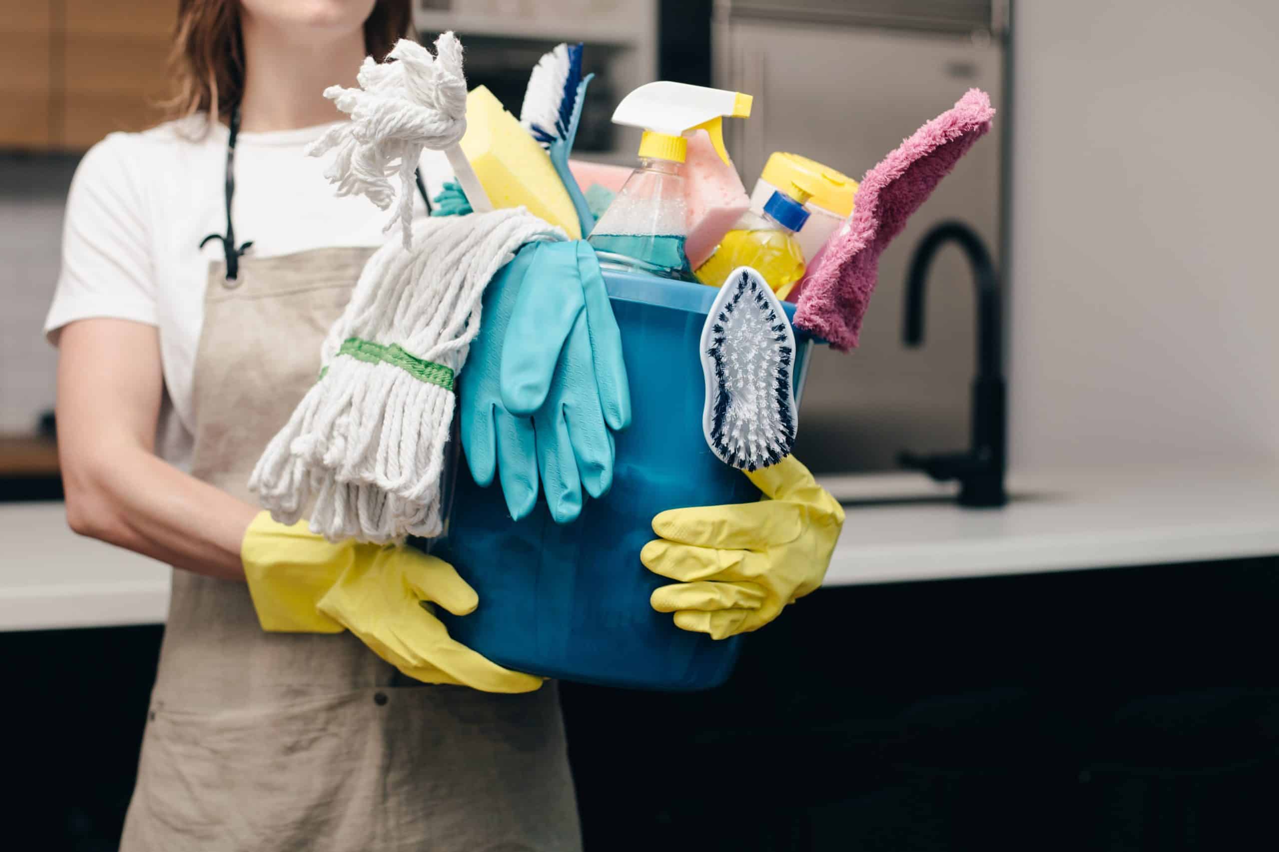 Maids Home Cleaning Services