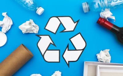 Things You Should and Should Not Recycle