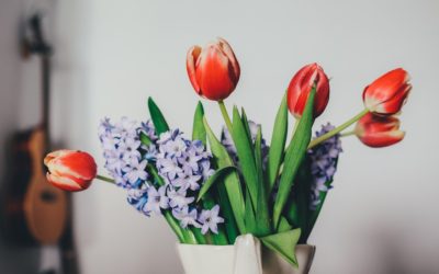 How To Make Your Home Smell Spring Fresh