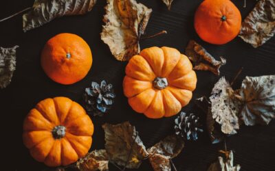 Pumpkin Spice And Never Clean Twice