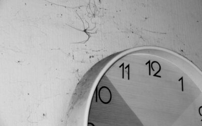 Where Cobwebs Lurk Around the House