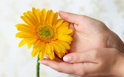 7 Colorful Plants that Improve Indoor Air 🌸